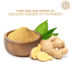 Pride of India | Ginger Fine Ground 1.65 oz (46.77 gm) Small Dual Sifter Jar | Easy to Use Blends Well | Perfect for Cooking, Baking, Tea, Curries